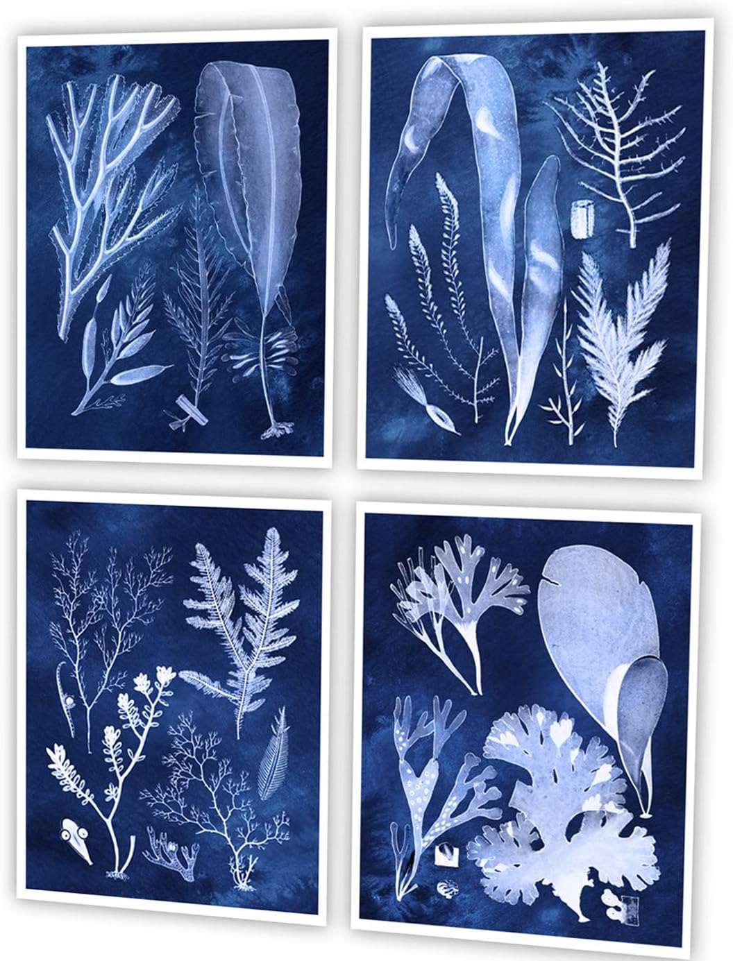 Gnosis Picture Archive Beach Theme Decor Set of 4 Unframed Blue Seaweed Art Prints