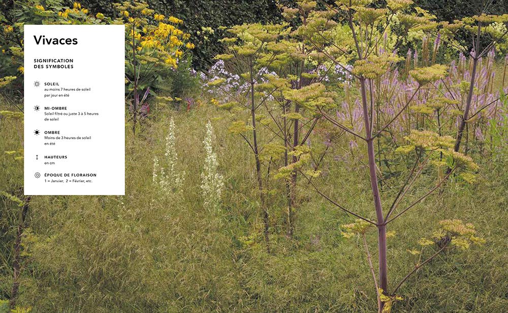 Jardins naturalistes - Les meilleures plantes vivaces
