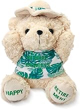 Retirement Gifts For Women & Men, Funny Retirement Teddy Bear Plush, Leaving Gifts For Colleagues, Teacher, Friends, 20cm Brown Teddy Bear With Hat