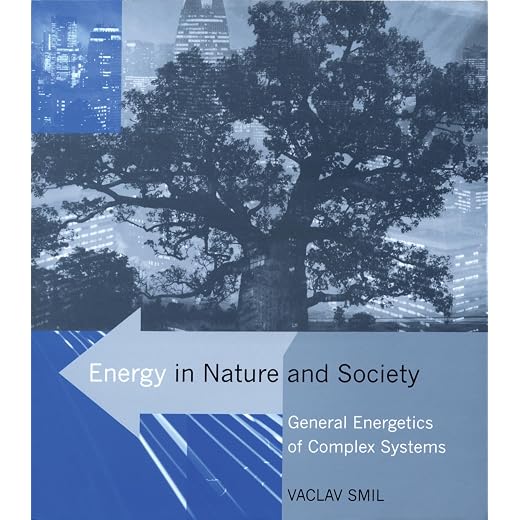 Energy in Nature and Society: General Energetics of Complex Systems (Mit Press)