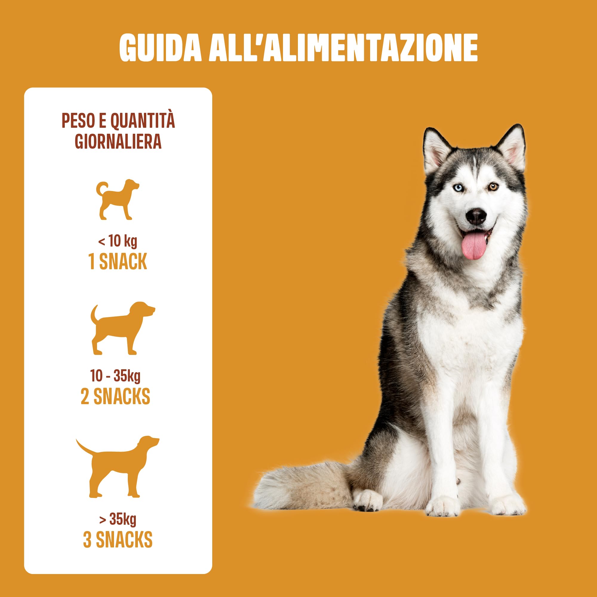 ivvi Cardio per cani – 60 snack morbidi con L-carnitina, taurina, L-arginina, magnesio, olio di salmone, bacche di biancospino e melograno – funzione cardiaca, energia e vitalità – con pollo – 270 g