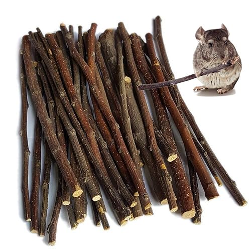 Apple Sticks Small Animals Molar Wood Toys for Rabbits Chinchilla Guinea Pigs Cavia Cobaya Parrot Hamster Apple Chew Sticks Toys Treats - 500 g (Pack of 1)