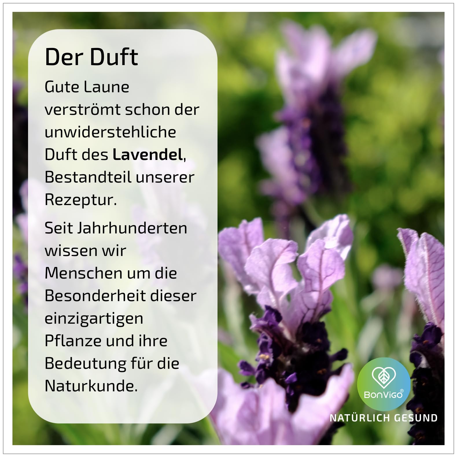 GUTE LAUNE - Normale Funktion Nervensystem & Psyche unterstützen (Vit. B7 B12), die Gehirn-Botenstoffe (Vit. B5) - Natur-Komplex Lavendel Passionsblume Melisse, Tryptophan, 120 Kapseln