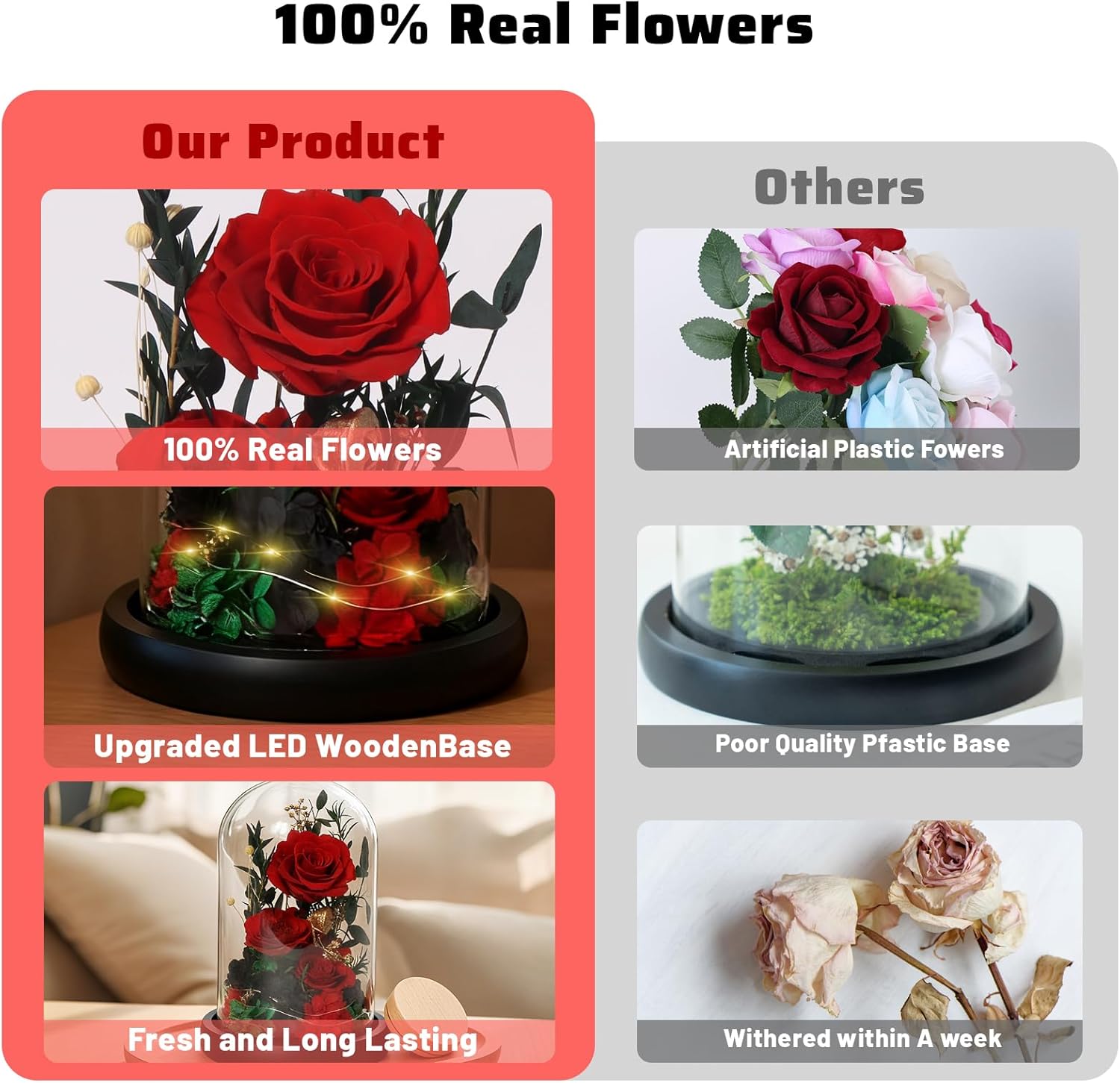 Preserved Forever for Mom, Preserved Forever Roses for Delivery Light Up Flowers in Glass Dome Anniversary Birthday Gifts for Women Grandma Wife Daughter Girlfriend