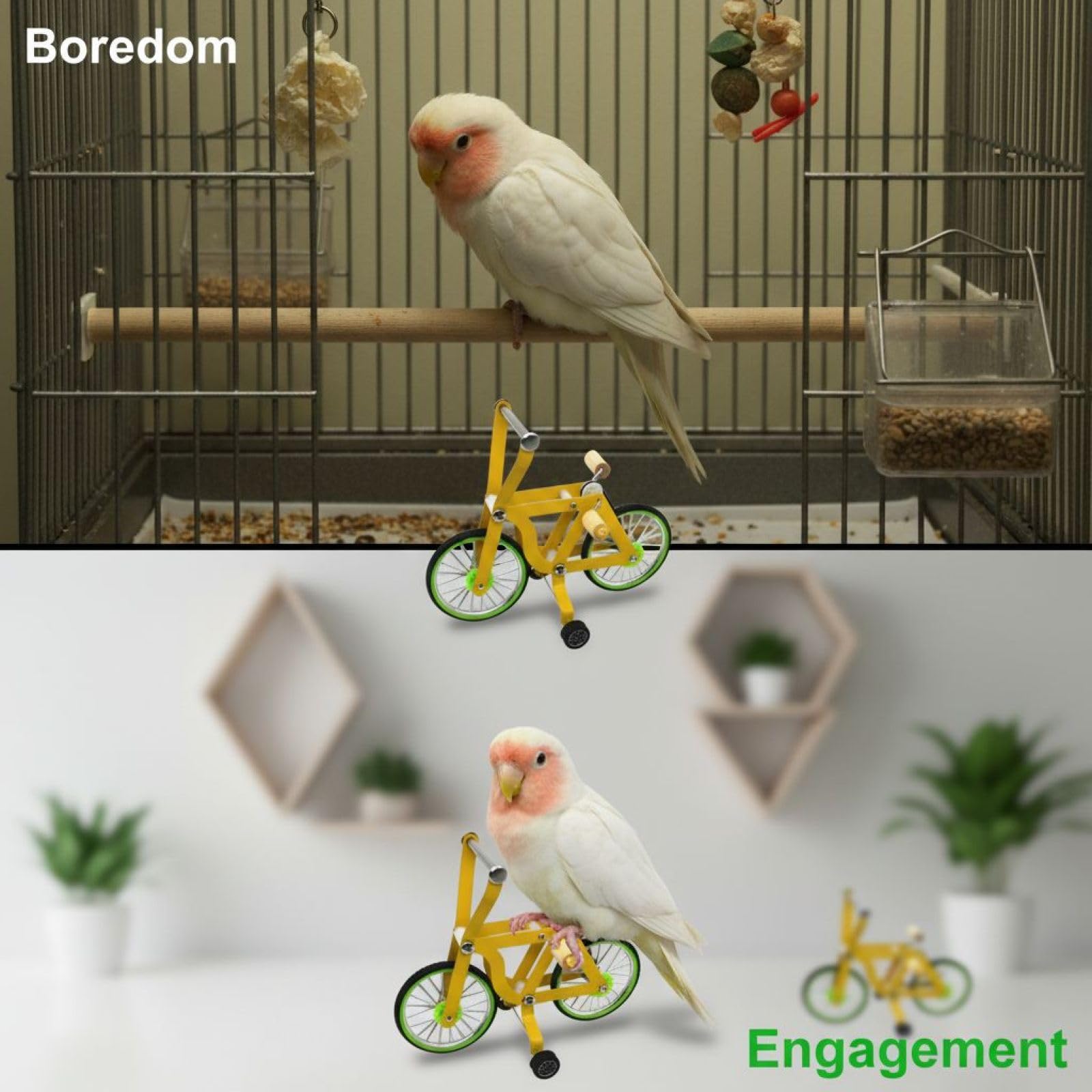 Mała papuga zabawka rowerowa dla Budgies i Cockatiel, zabawka treningowa z metalową ramą, drewnianym uchwytem, gumowymi kółkami, zapasową gumką w zestawie, 6.1 x 4.9 in / 15,5 x 12,5 cm