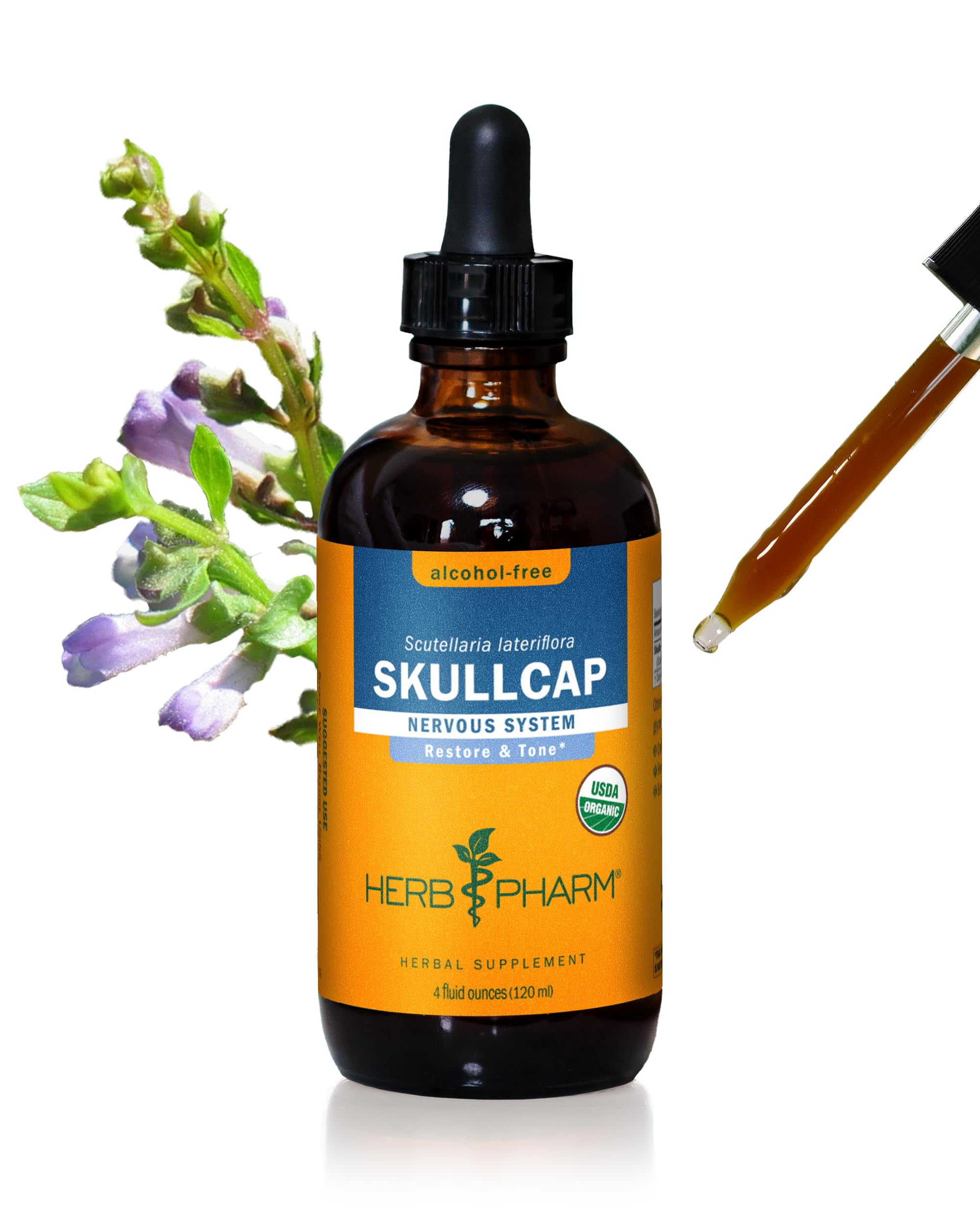 Herb Pharm Skullcap, Alcohol-Free Liquid Herbal Extract: Traditional Relaxing Skullcap Herb, Calm Mind Support | Sugar-Free, Non-GMO, Gluten-Free, Skullcap Tinc