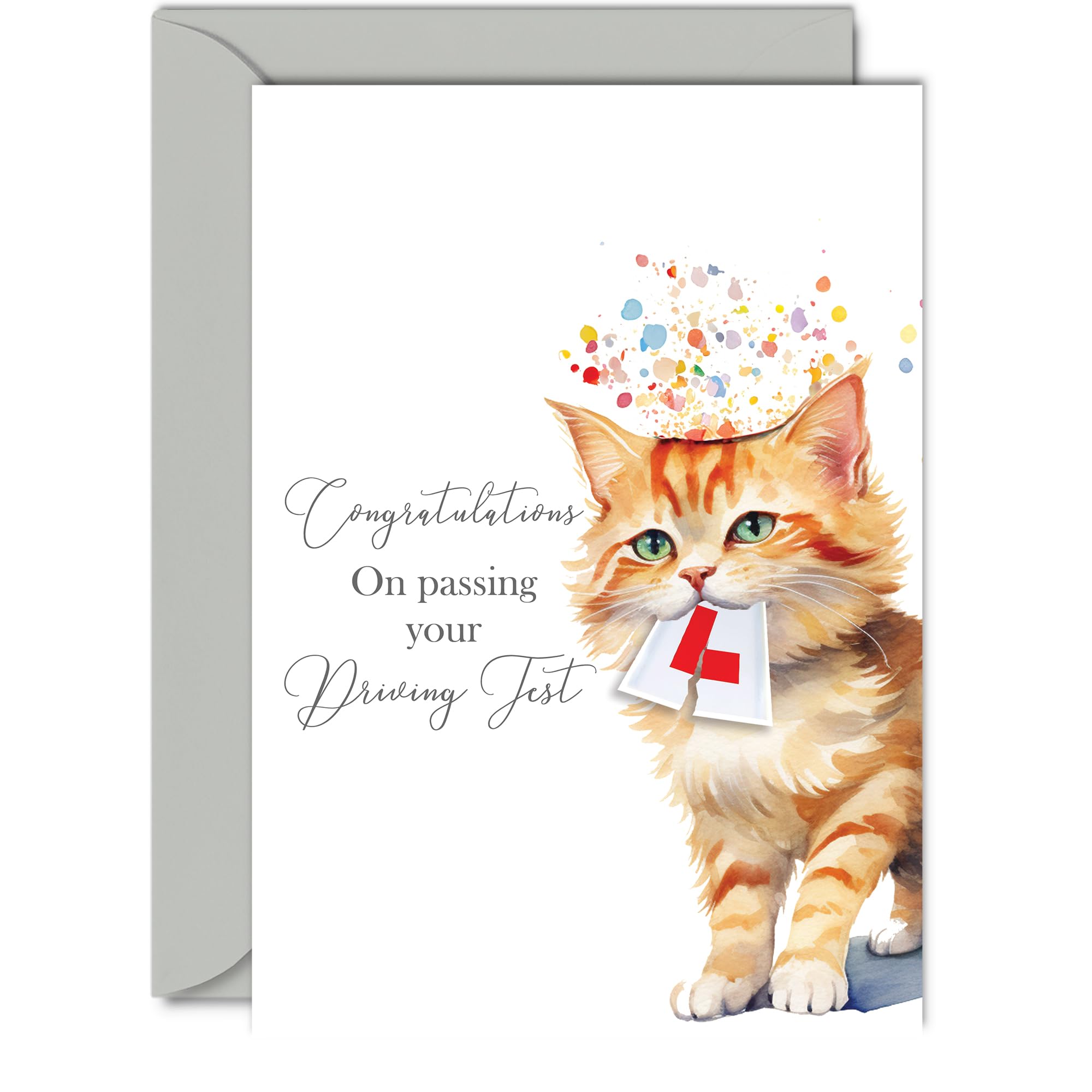 Party Cat Kitten - Congratulations Driving Test Pass Card, Gifts for Learner Driving Test Exam, A5 Card