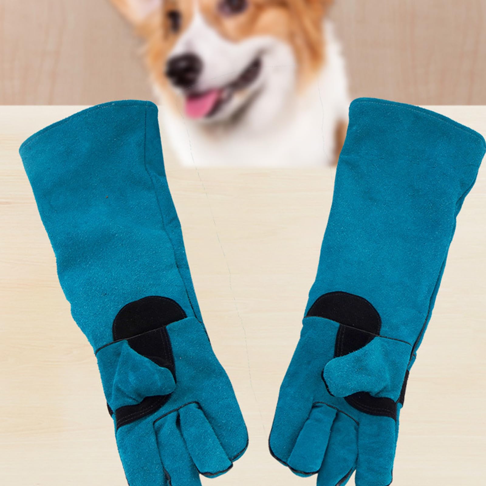 Gant permanent flexible pour la manipulation d'animaux rugueux, le jardinage, le toilettage professionnel et les gants de travail en cuir respirant