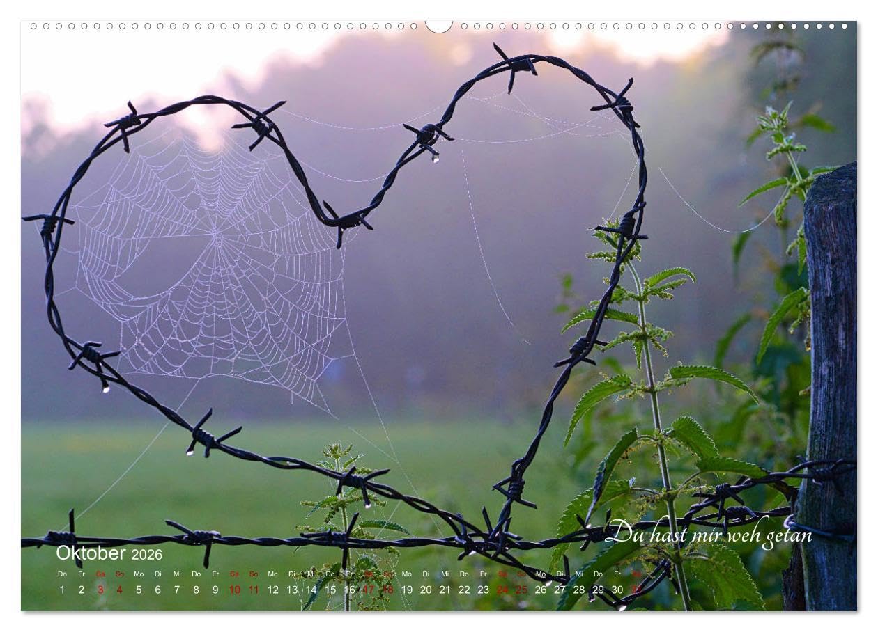 Emotionale Herzensdinge (hochwertiger Premium Wandkalender 2026 DIN A2 quer), Kunstdruck in Hochglanz: Bilder von Herzen mit romantischen Sprüchen über Liebesglück und Liebesleid (CALVENDO Kunst)