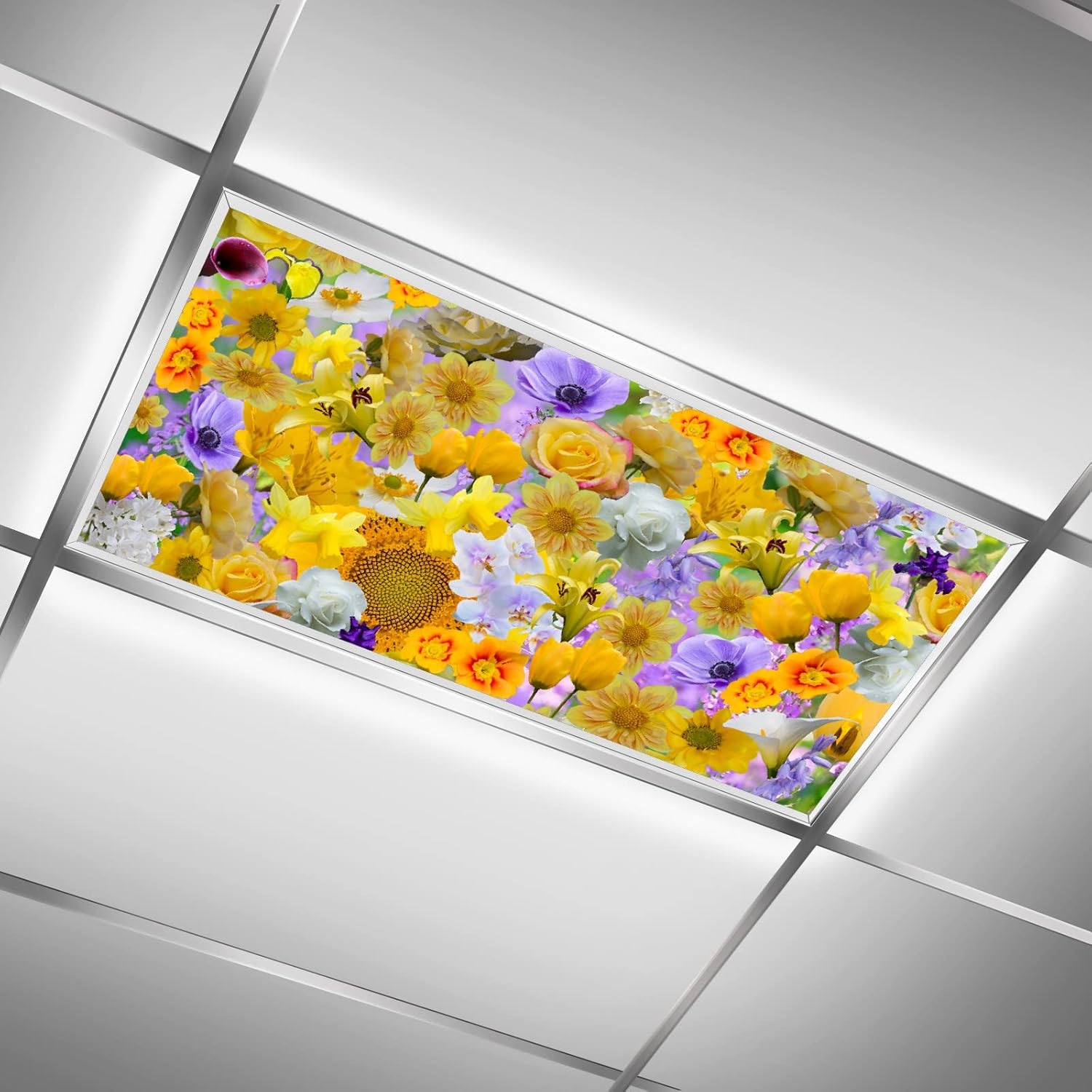 BIROSVSY Fluorescent Light Covers for Classroom Office Eliminate