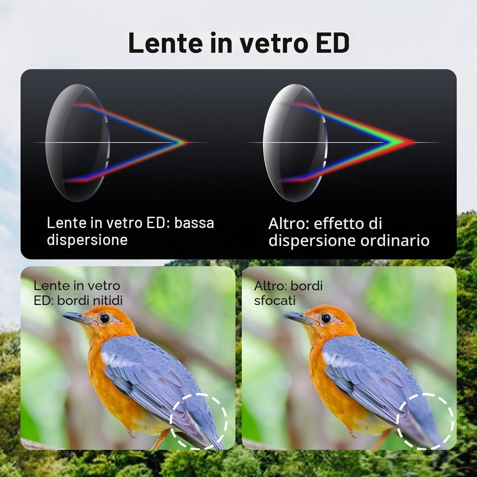 Svbony SV202 Upgraded Binocolo, 8x32 ED Binocolo Professionale, Compatto Impermeabile & Anti-appannamento Prisma BAK4 con Phase Coating per Birdwatching