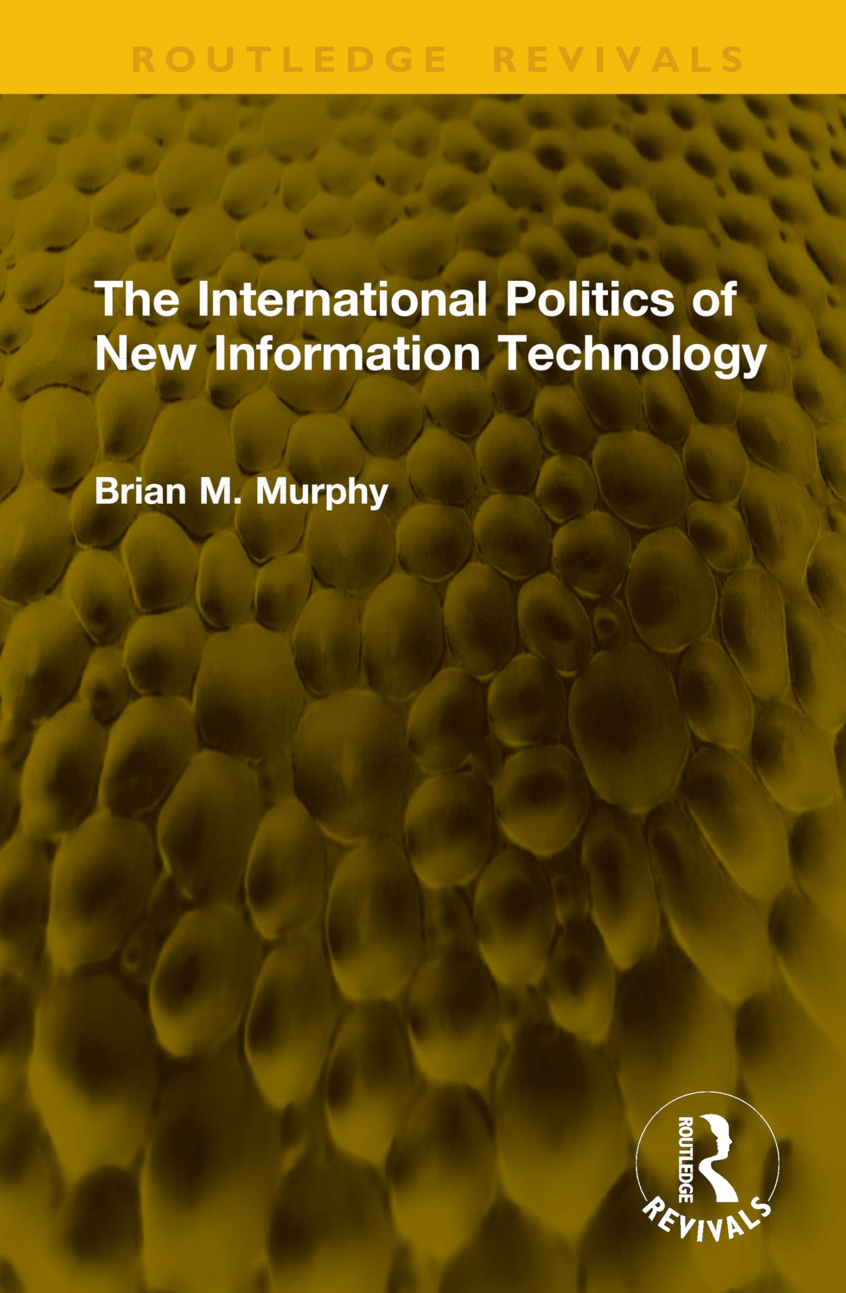 The International Politics of New Information Technology (Routledge Revivals)