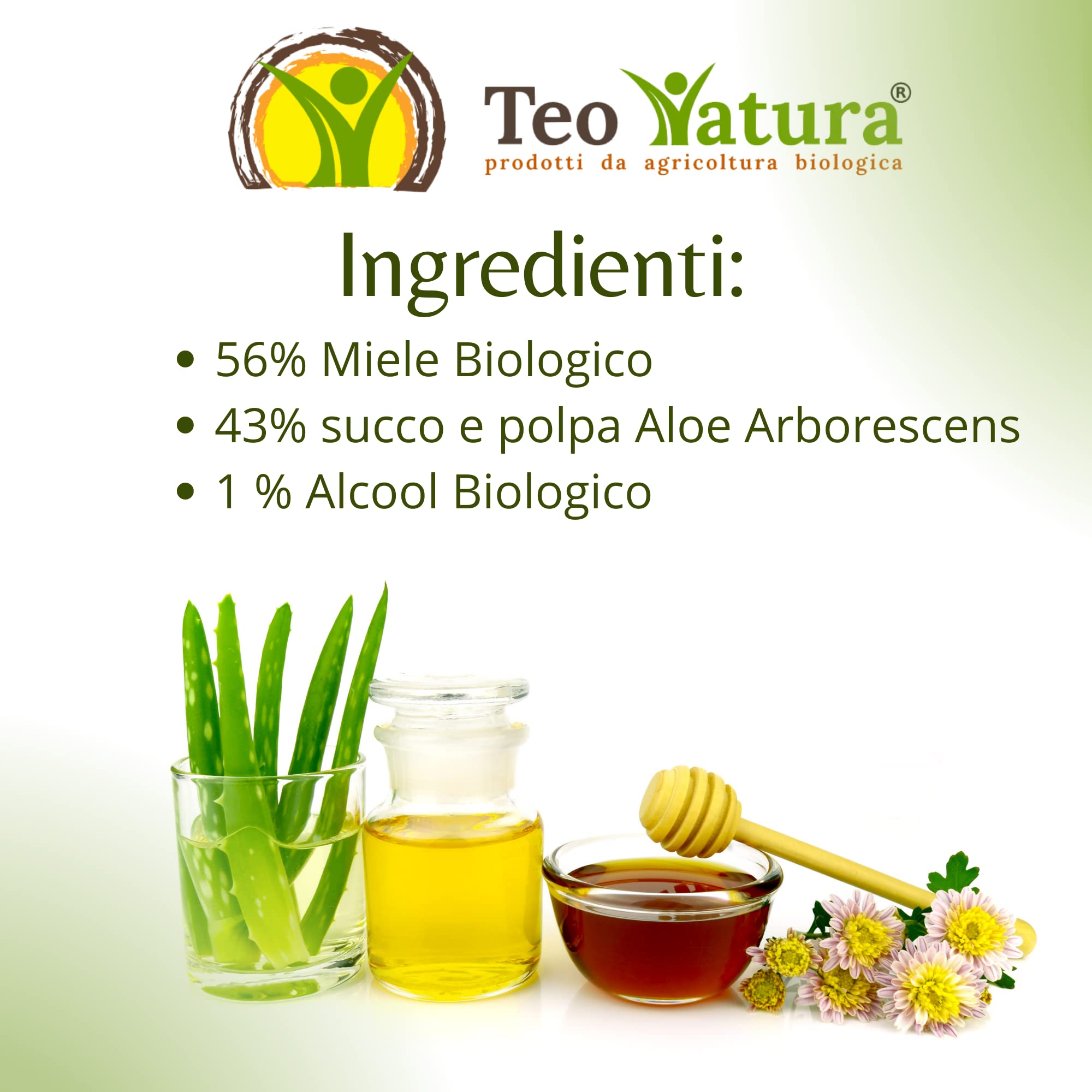 Teo Natura Synergie 1 – Trinkergänzungsmittel – klassisches Rezept von Padre Zago mit Aloe Arborescens, Honig und Bio-Alkohol, 500 ml, 1 Stück