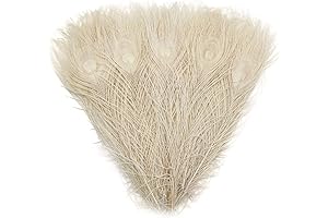 Enhance Your Crafts and Decor with Graceful White Peacock Feathers