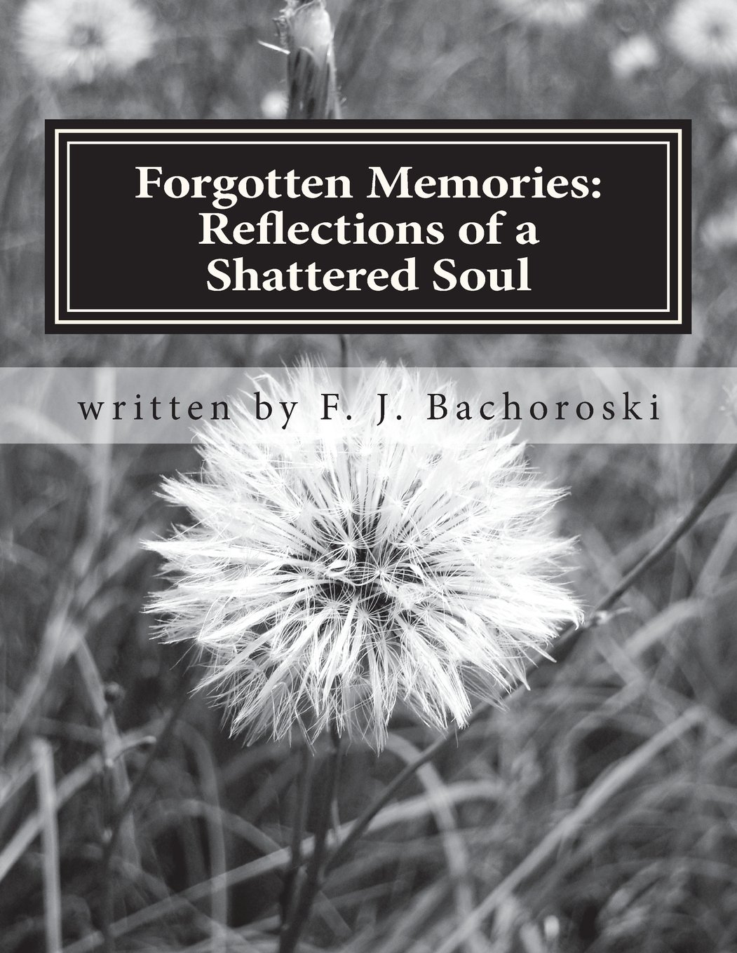 Forgotten Memories: Reflections of a Shattered Soul