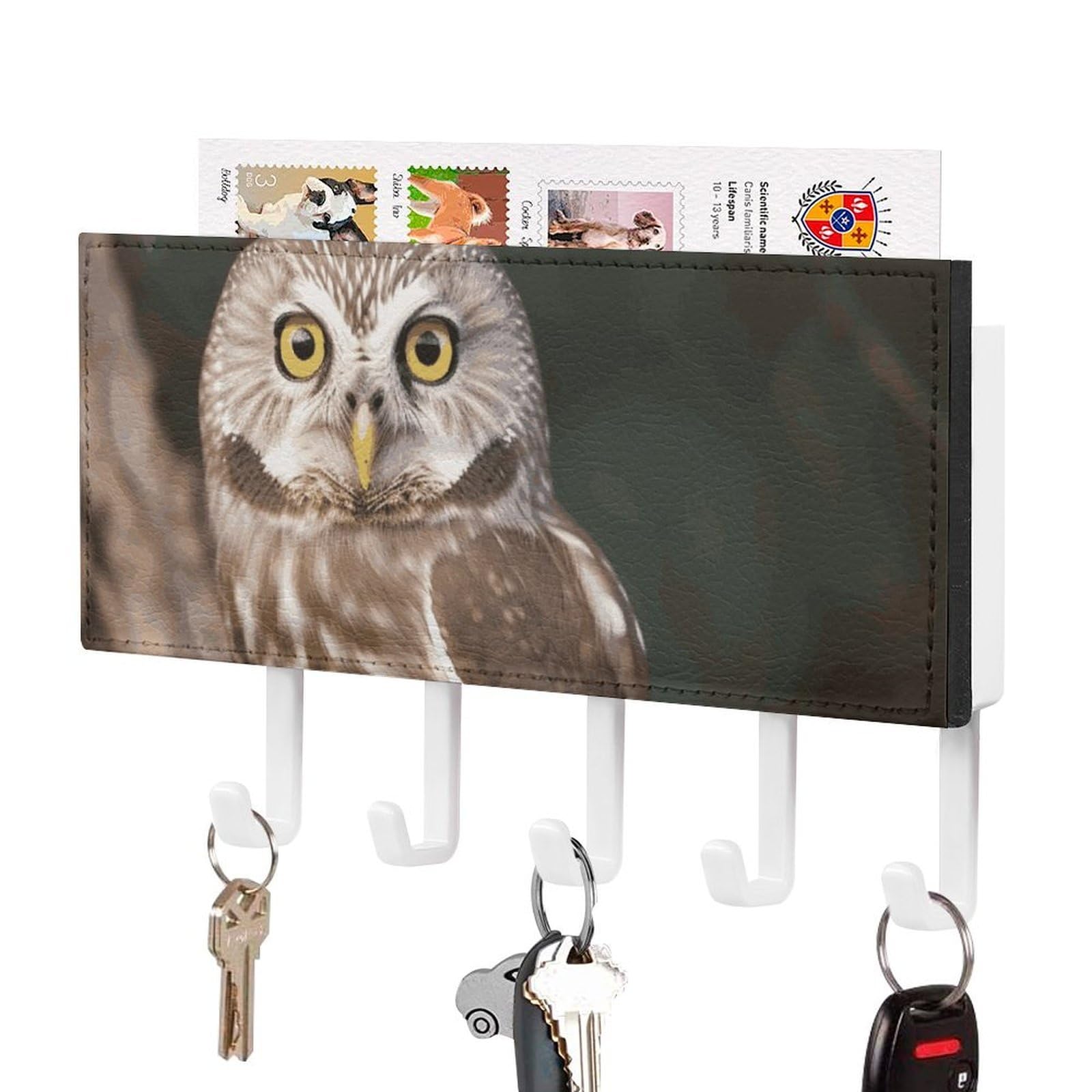 JTREHY Wildlife Animal Owl Holder Wall-Mounted Key and Mail Holder,Key Rack with 5Keys Hooks, Easy to Install Mail Organizer for Entryway, Front Door, Hallway, Office