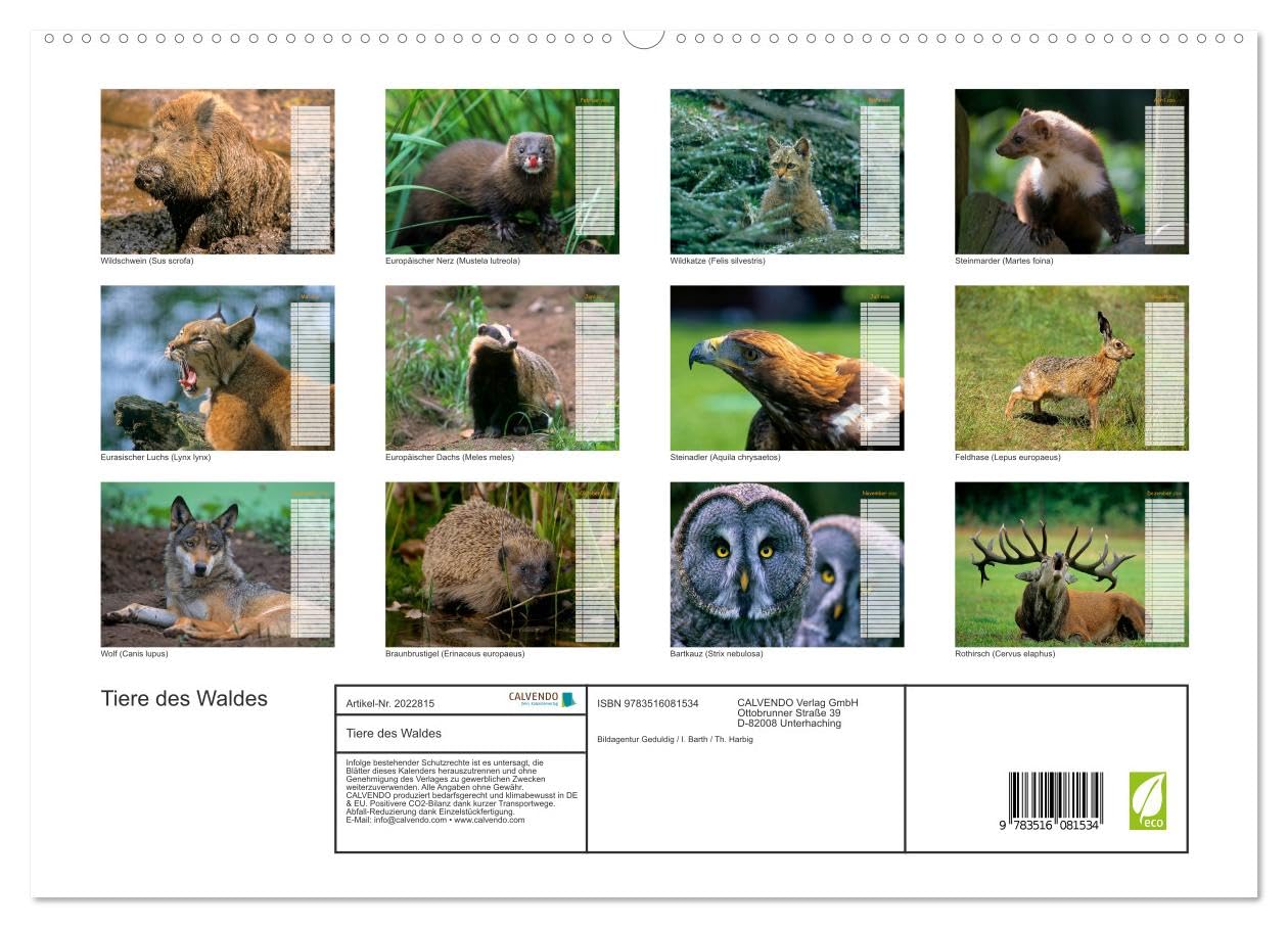 Tiere des Waldes (hochwertiger Premium Wandkalender 2026 DIN A2 quer), Kunstdruck in Hochglanz: Naturkalender mit 13 Tiermotiven (CALVENDO Tiere)