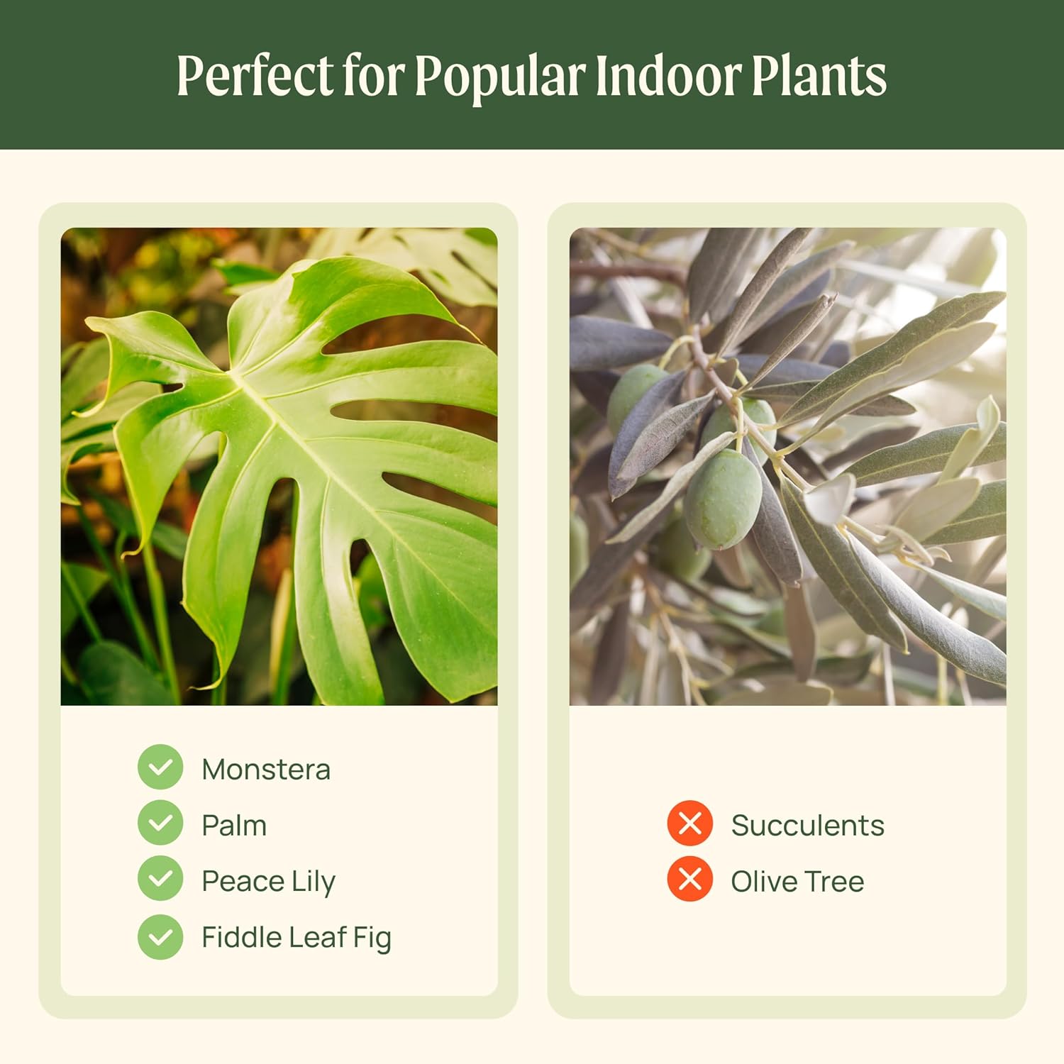 15 Inch Self-Watering Planter for Indoor Plants – Large Modern Plant Pot with Built-In Water Reservoir, Ideal for Monstera, Fiddle Leaf Fig, Palms & Peace Lily, Without Trellis (2, Fog Gray)