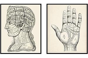 Vintage Phrenology & Palmistry Posters