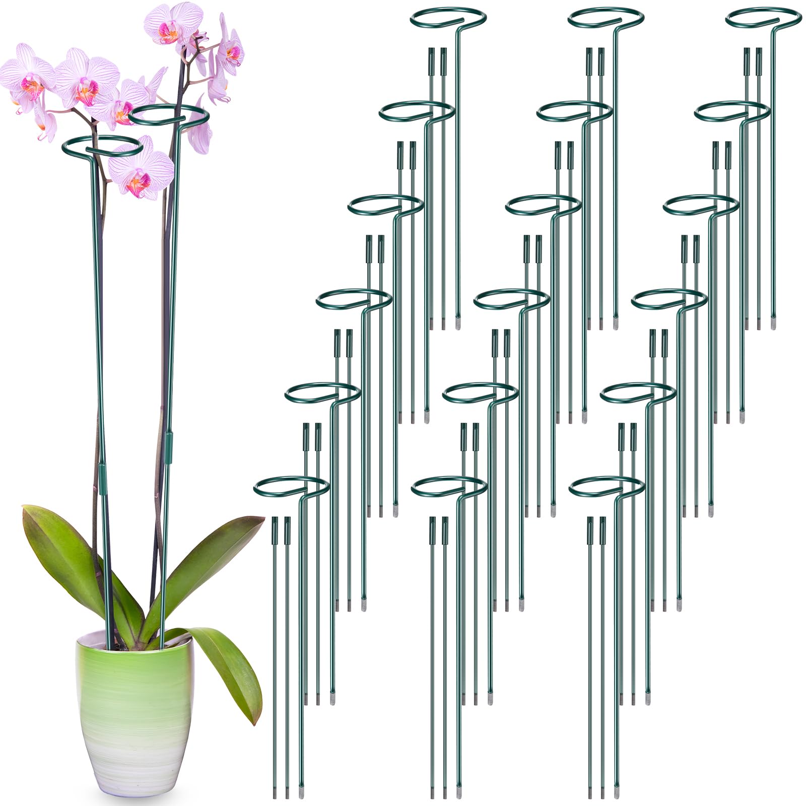 Stabile Metall-Pflanzenstäbe (91 Cm) – Grün, Rostfrei, Für Rosen, Orchideen & Tomaten