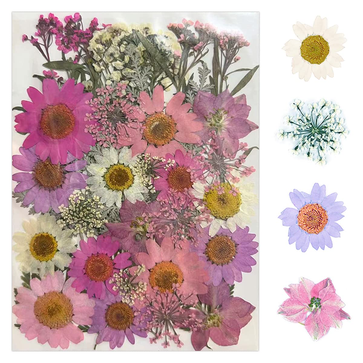 YellowCult Natural Real Dried & Pressed Flowers for Art Craft - Mixed, Multicolor for Soap, Candle, Scrapbooking, DIY, Resin Jewelry, Pendant - [Luxury Pink & Peach 40-45 pcs]