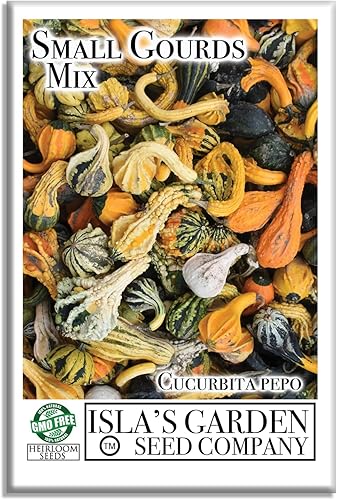 Semillas pequeñas de mezcla de calabazas, más de 25 semillas de reliquia sin OMG de Isla's Garden Seeds, calabazas decorativas únicas, perfectas