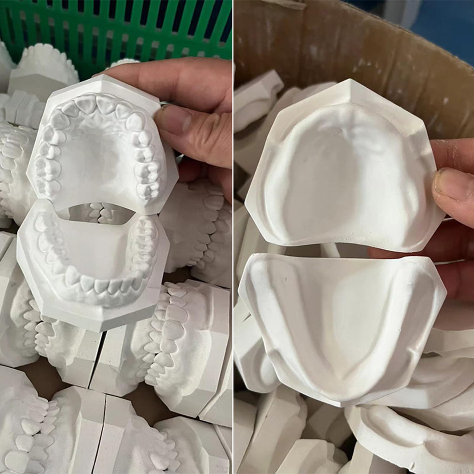 4 szt. Gipsowy model dentystyczny standardowe modele tynków z zębami i bez zębów model dentystyczny do nauki nauczania