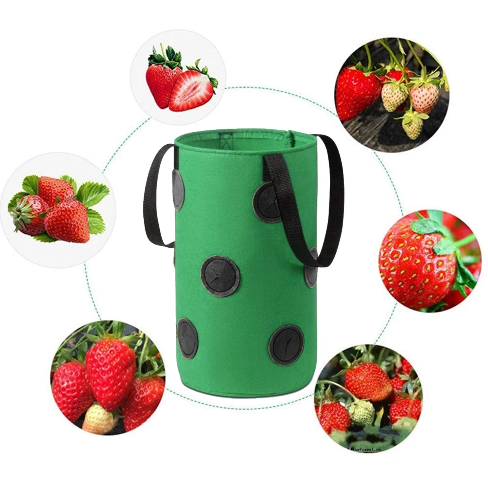 2 Sacs De Culture Yhuasia Pour Fraises - 12 Trous Suspension | Non Tissé Respirant