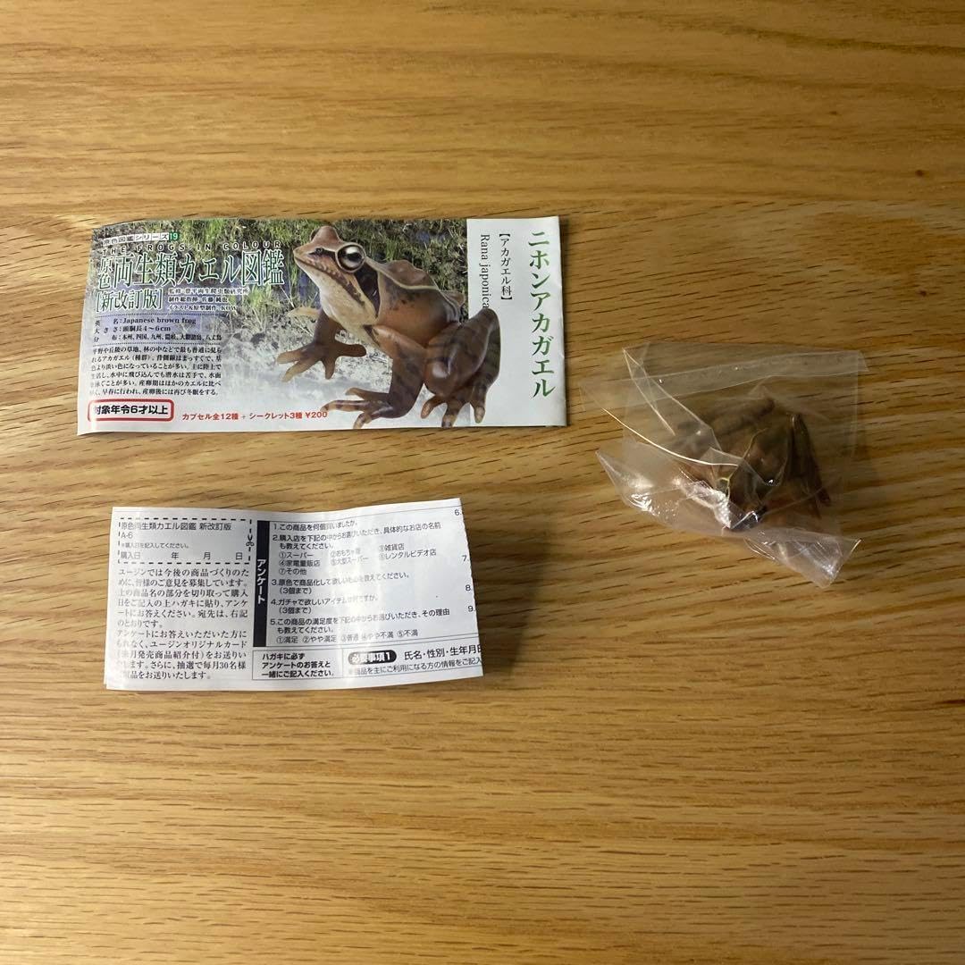 【未使用】YUJIN 原色両生類カエル図鑑　新改訂版　15種 未使用】YUJIN 原色両生類カエル図鑑 新改訂版 15種 Amazon.co.jp