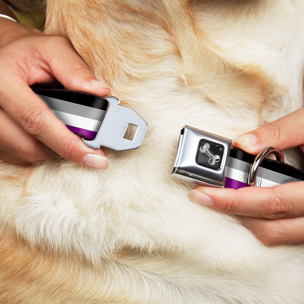 Dog Collar Seatbelt Buckle Flag Asexual Black Gray White Purple 15 to 26 Inches 1.0 Inch Wide