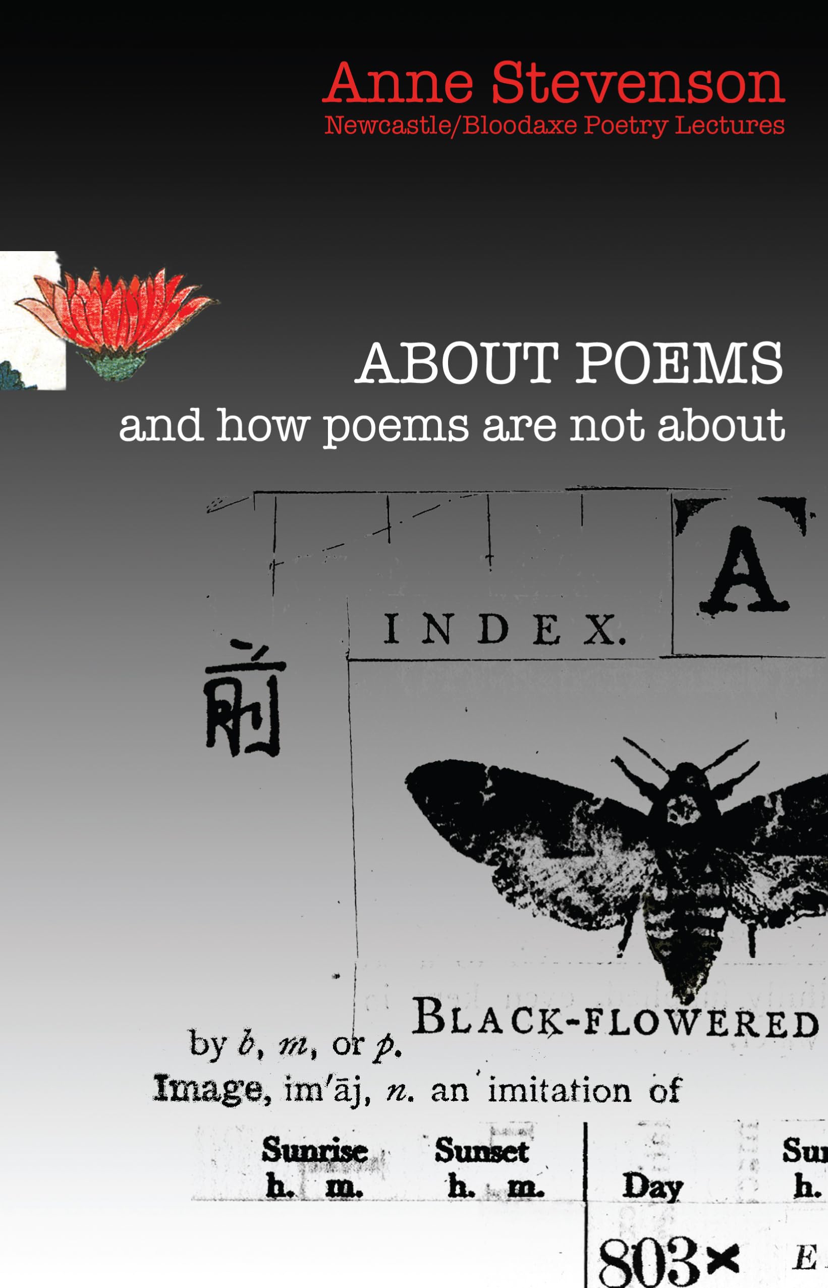 About Poems and how poems are not about (Newcastle/Bloodaxe Poetry Series) (Bloodaxe Poetry Lectures): Newcastle/Bloodaxe Poetry Lectures: 16