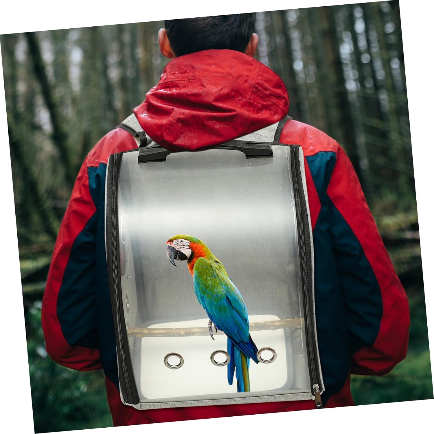 Totority Bird Carrier Backpack for Travel Comfortable Parrot Carrying Bag with Smooth Zipper Transparent Breathable Design for Birds for Outdoor Use Includes Perch for Comfort