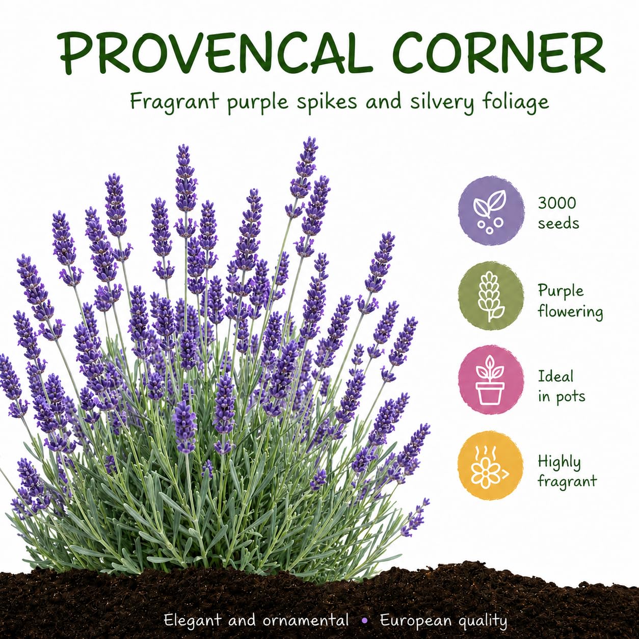 Grounding - Lavender Seeds (Lavandula angustifolia), 3000 seeds - Intense fragrance & purple blooms, ideal for garden & pots - European Quality