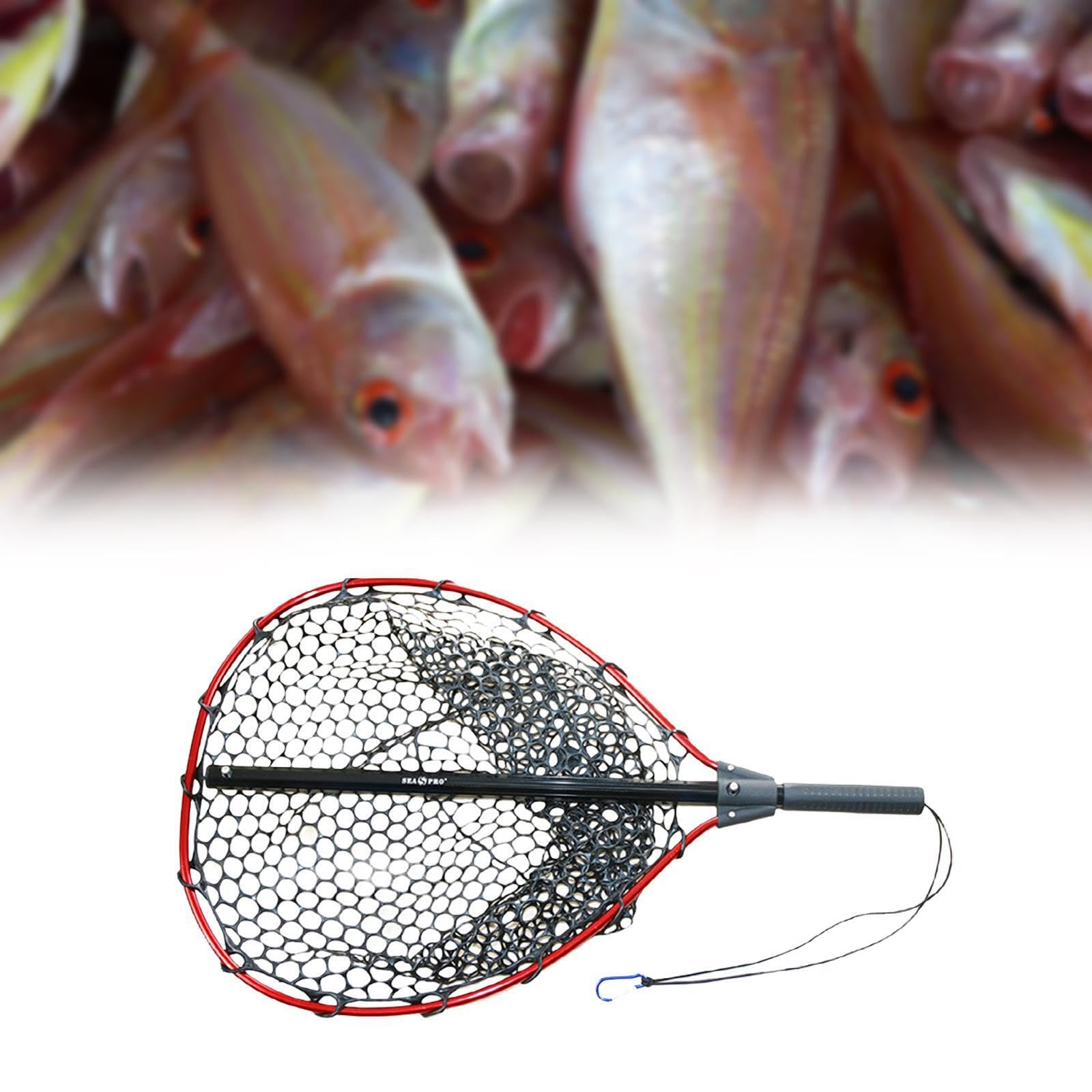 Épuisette télescopique rétractable pour la pêche au Saumon, au Bar et Poisson-Chat. Facile à grâce à Son système de Pliage et sa Conception