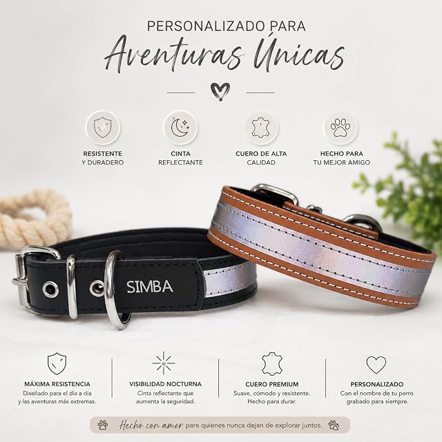 Foto 6 de 8 de Collar de Cuero con Cinta Reflectante de Alta Visibilidad - Acolchado Interior - Nombre Personalizado