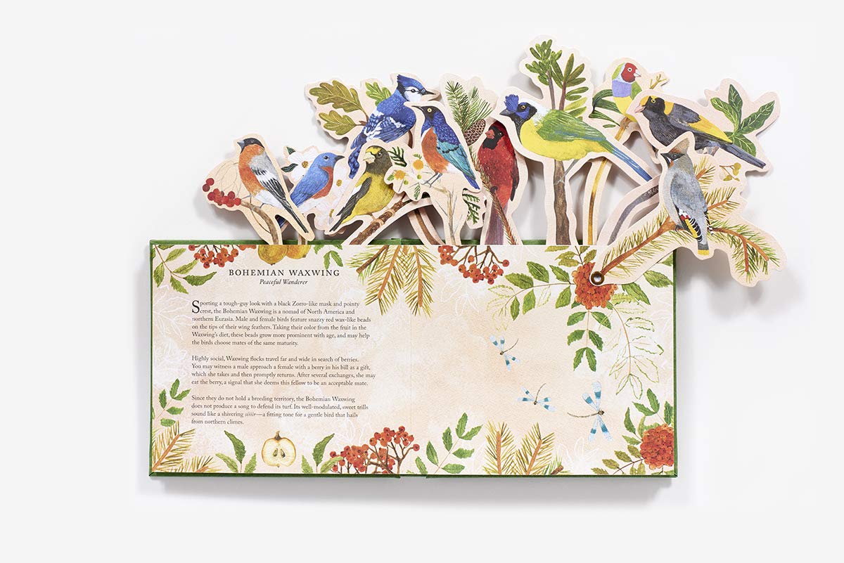 Birds In A Book. A Bouquet In A Book: Jacket Comes Off. Branches Pop Up. Display Like a Bouquet!