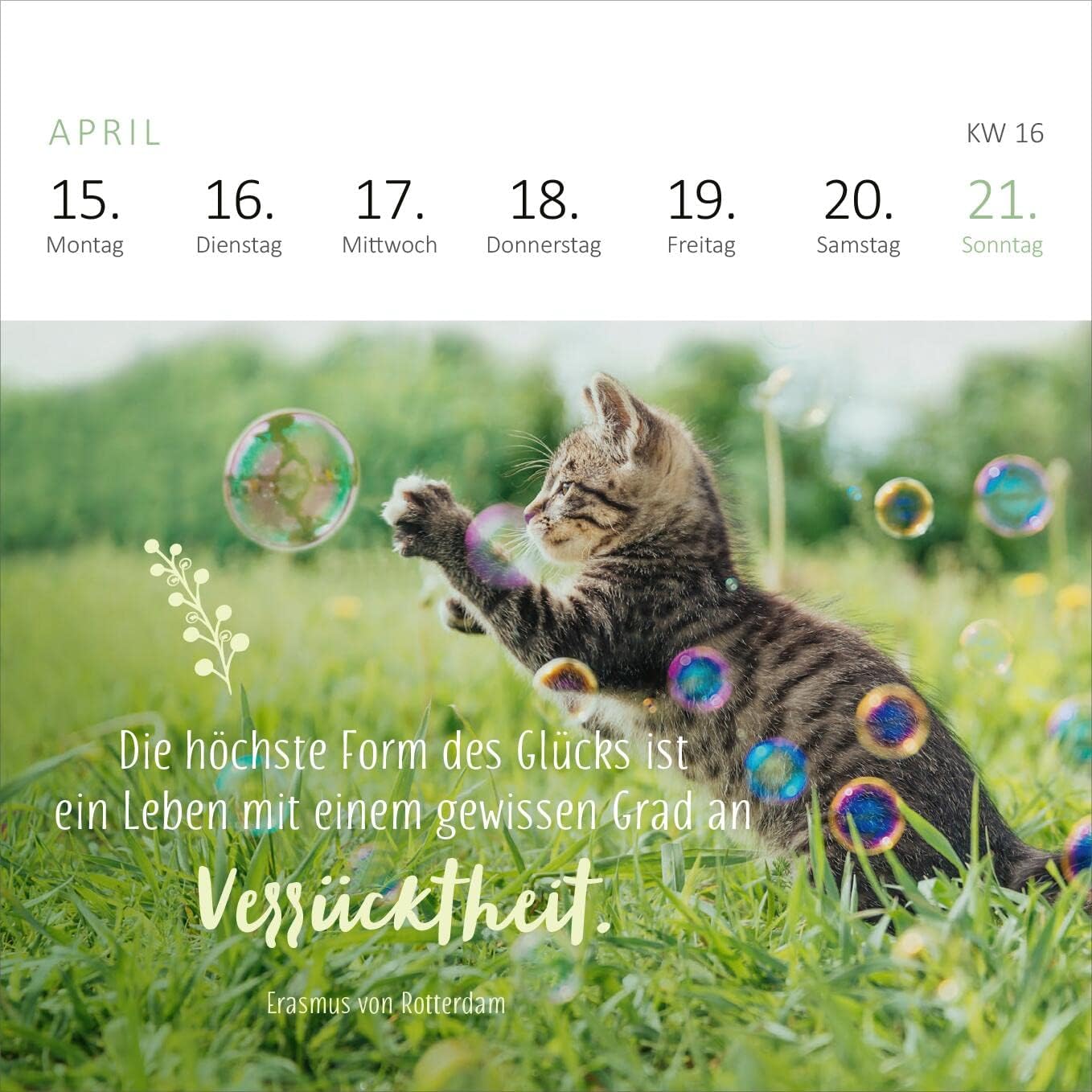 Mini-Wochenkalender Katzenglück 2024
