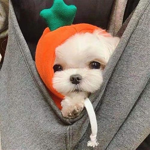 Miniatura 5 de Sudaderas con capucha para perro, ropa de frutas para mascotas, atuendo cálido de invierno, abrigo, ropa para perrito, sudadera con capucha para