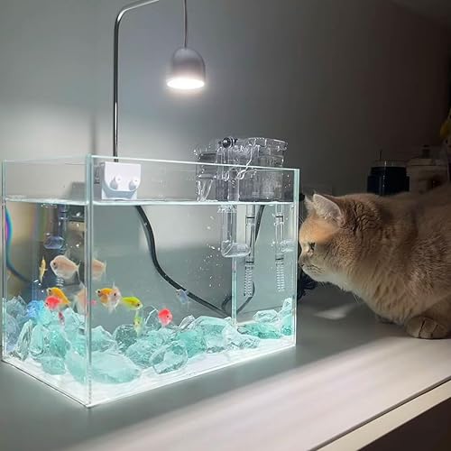 Miniatura 3 de Roca de cristal rojo de 2 libras, 0.394-0.787 in, vidrio rojo oscuro Borken Irregular para manualidades decorativas, fogata de propano