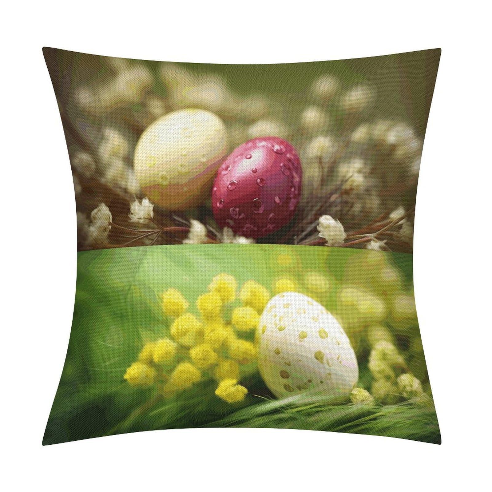 Eggs Pillow Covers 18x18 Inch, Pillow Cases Boho Farmhouse, Throw Pillow Covers for Couch Sofa Bed Spring Home Decor