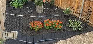 Review Image by Clickaholic Diva Clickaholic Diva