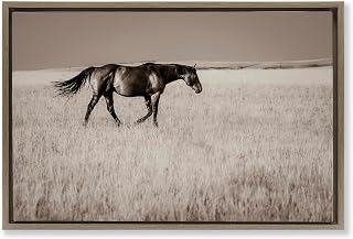 Stupell Industries Dashing Montana Stallion Brown Framed Floater Canvas Wall Art, design by Christy Berry, 21 x 31