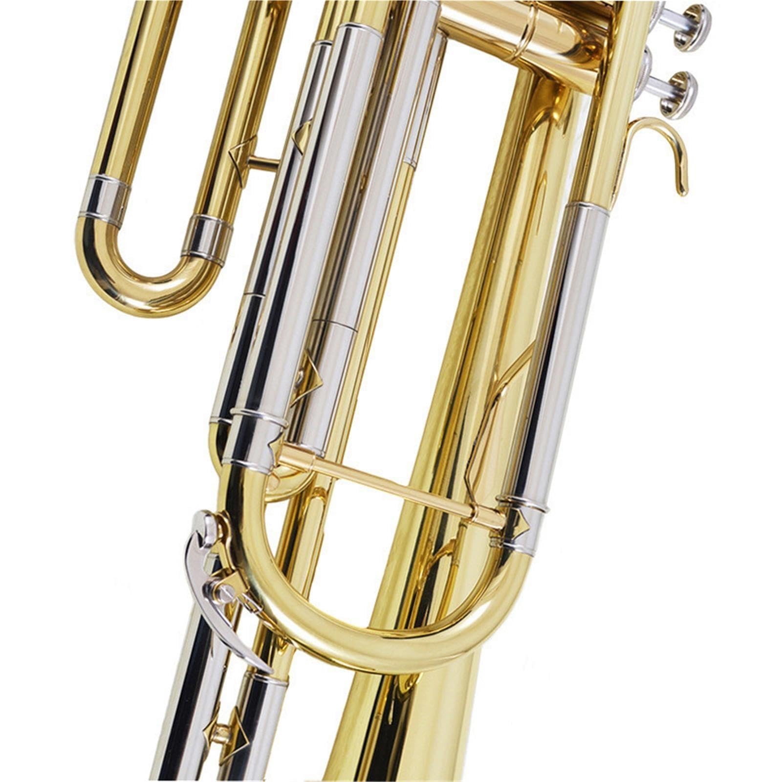 Adult Trumpet Trompette en si bémol pour débutant