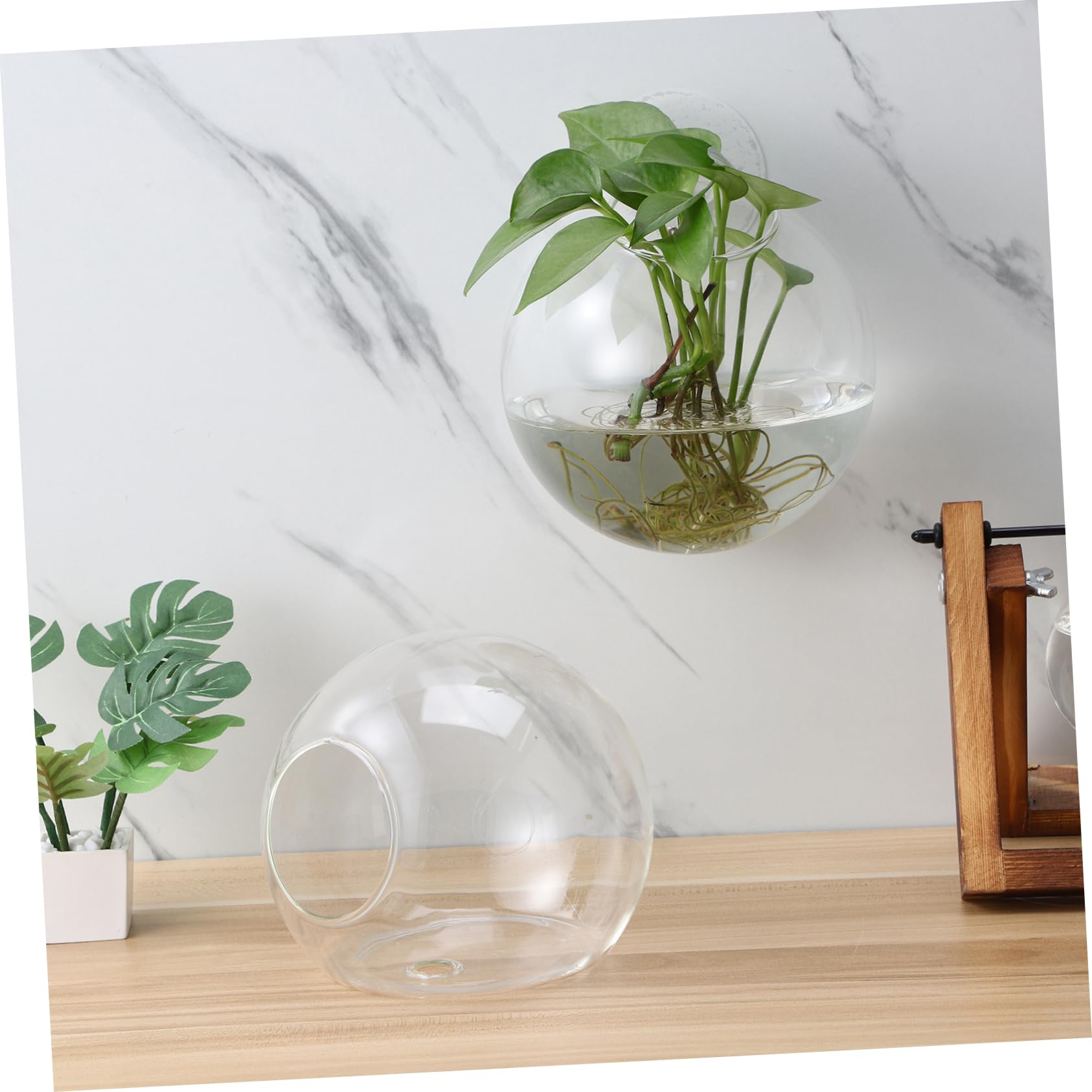 4Piezas Macetas de Transparentes para Pared Estación de Propagación de Plantas Colgantes Jarrones Redondos para Decoración de Interiores Diseño Elegante y Ahorrador