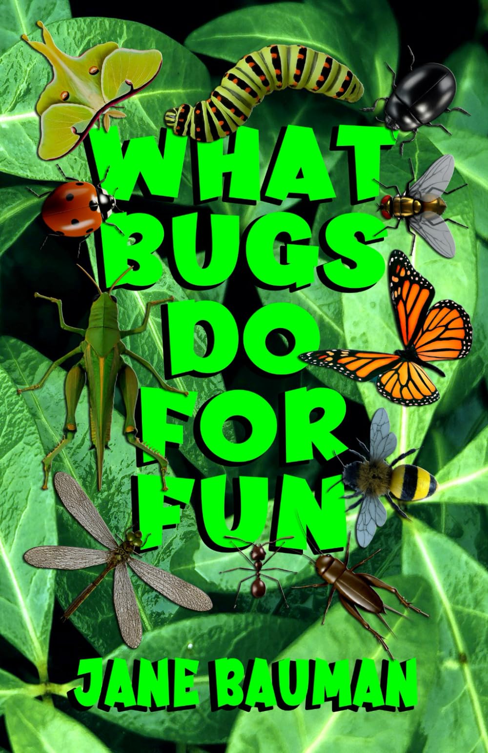 What Bugs Do for Fun