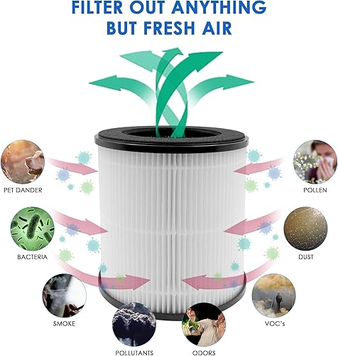 Miniatura 4 de Flintar Filtro de repuesto B-D02L/M05, compatible con MOOKA M05, B-D02L; funciona para VEWIOR B-D02U y para purificador de aire Tailulu D10, juego