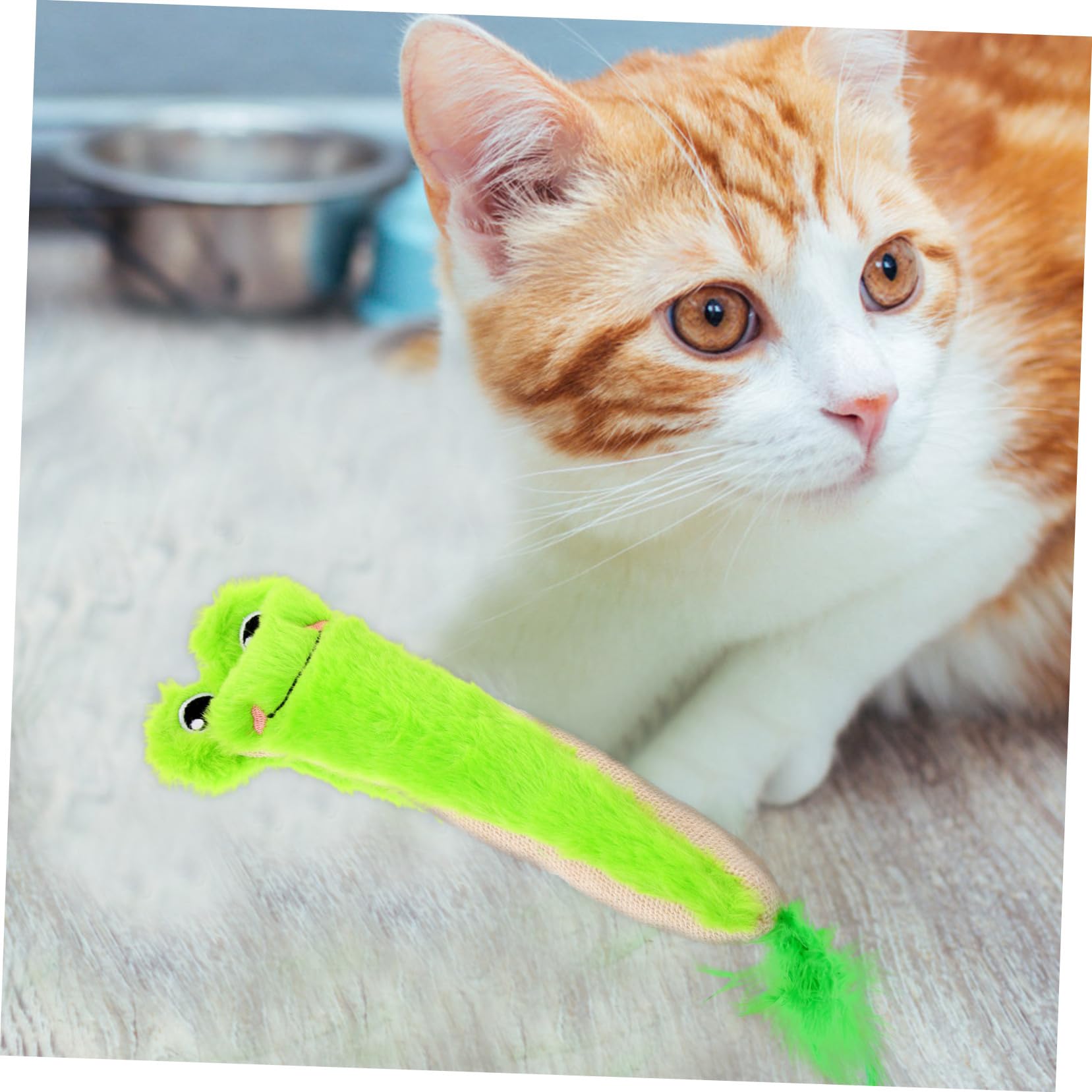 Jouet Chat Herbe à Chat Taquiner Jouets Intérieur Produits Mâcher Dentaire Interactifs