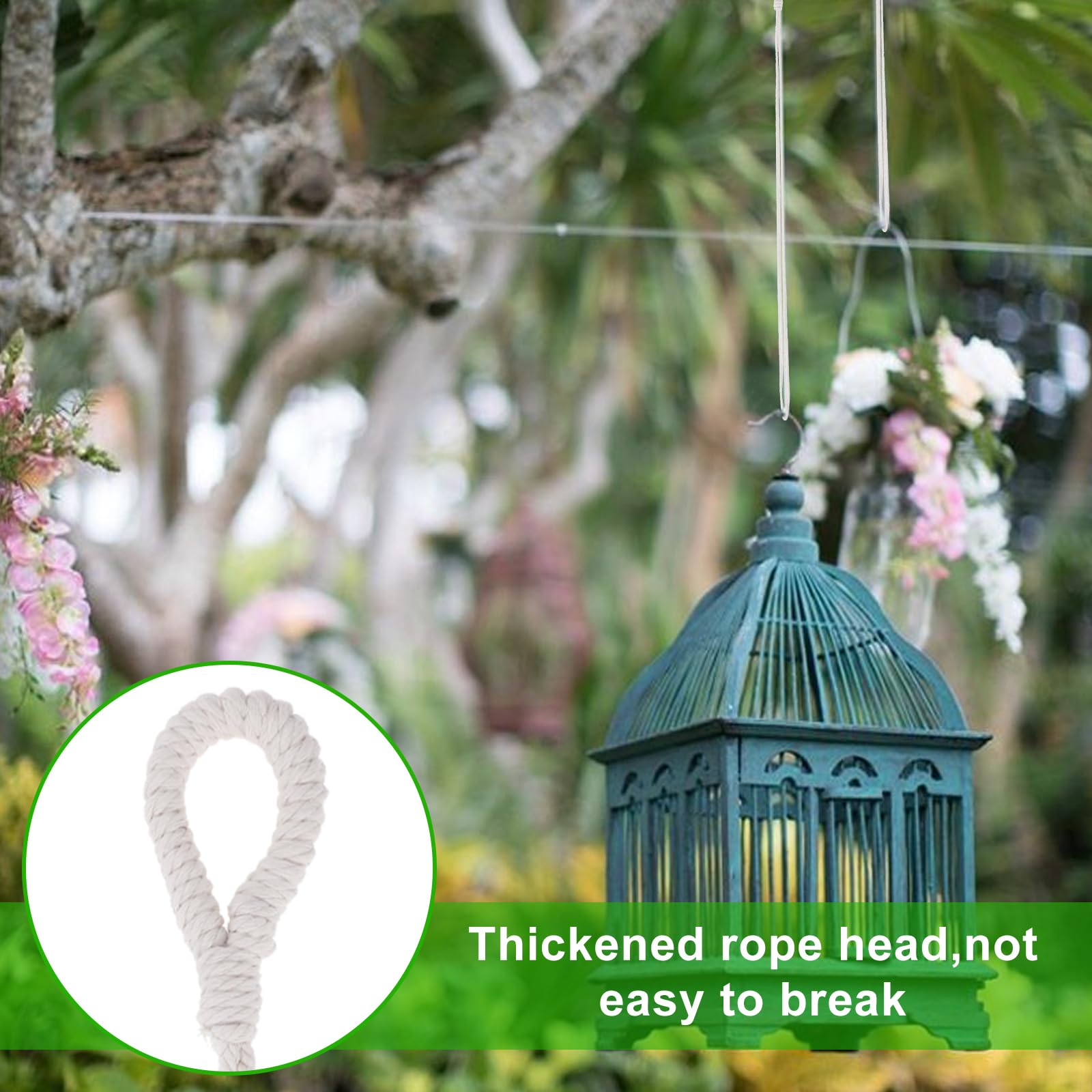 money tree cerca de mi Braided Money Tree  Easy-Care Indoor Plant for Prosperity