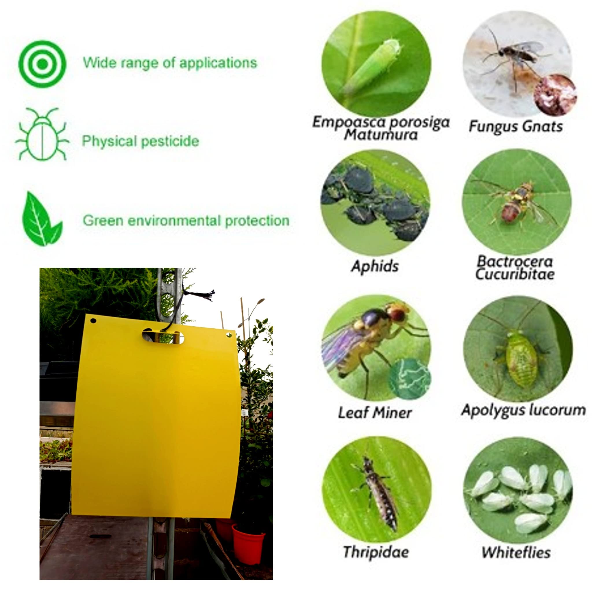 Bricoloco Atrapa Insectos cromático Amarillo 20x25 cm Especial Mosca Blanca, Olivo y Fruta. Atrapa Mosquitos Plantas. Placa de poliestireno con Adhesivo. (20)