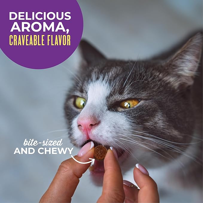 Tiki Cat Soft & Chewy Treats Sabor Pollo 6 oz miniatura 6